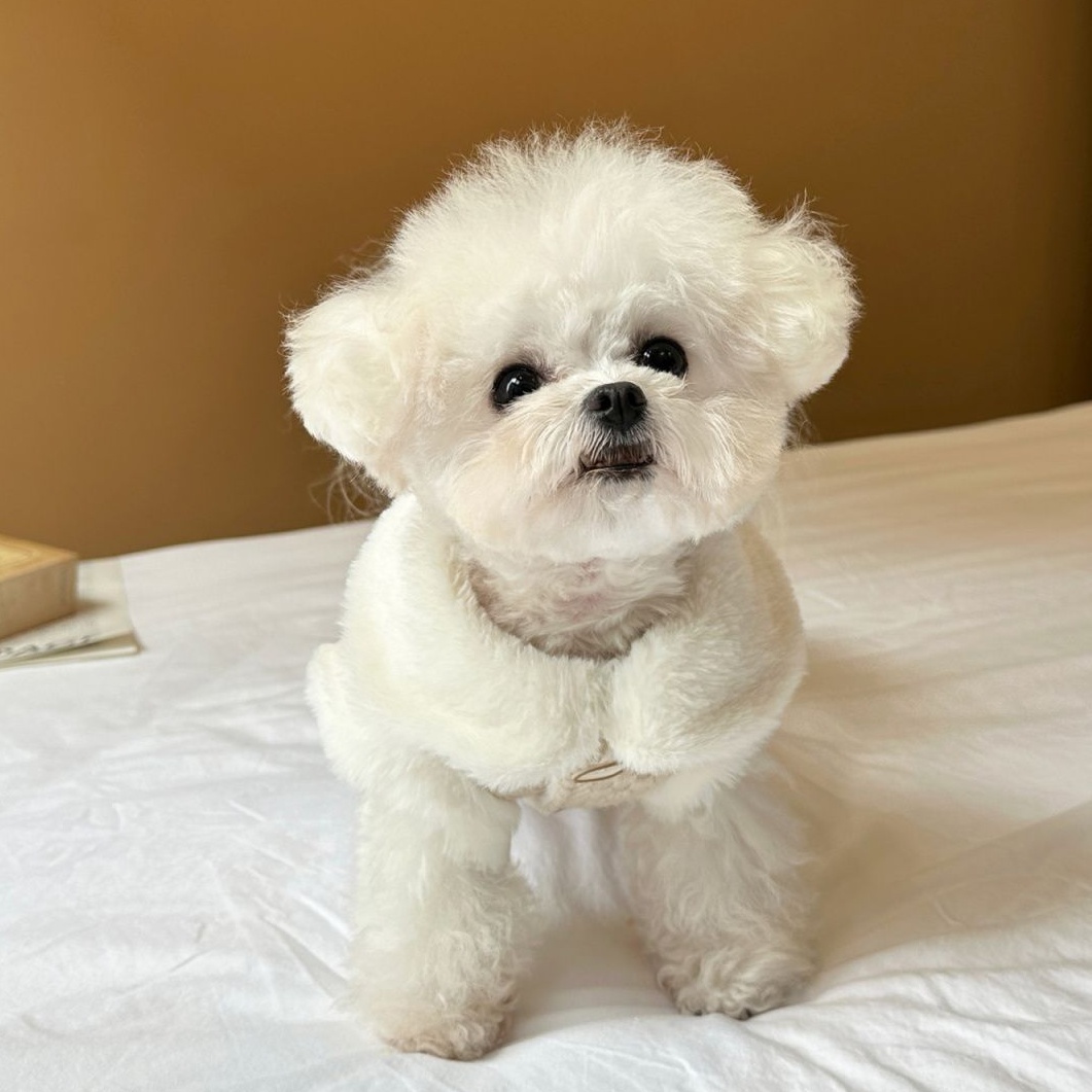 Fleece Collar Cable Knit Pet Vest for Small Dogs (Bichon, Maltese), Warm Winter Pet Sweater with Label Detail, Soft Comfortable Pet Apparel,Fashionabl - view 6
