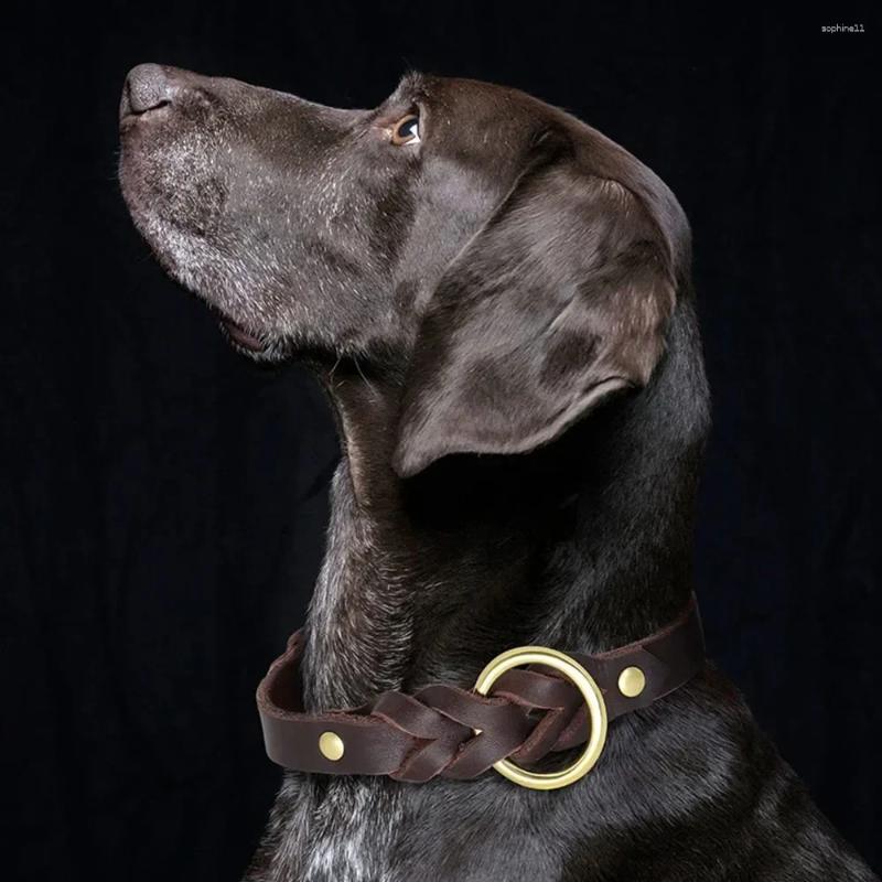 Update Classic Heavy Duty Dog Collars Braided Genuine Leather Collar With Tough Waterproof & Rust-Proof Brass Hardware Black Brown