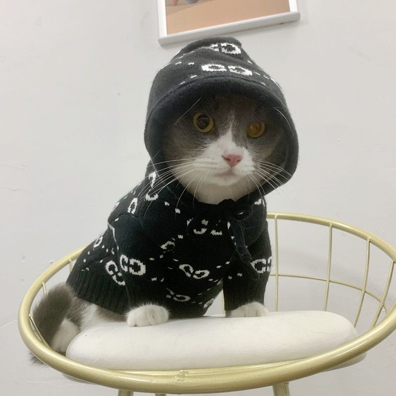 Designer Pet Hoodie with Monogram Pattern, Fashion Warm Knitted Dog Sweater in Multi-Colors, Soft Hooded Pet Apparel for Small Medium Dogs, with Strip