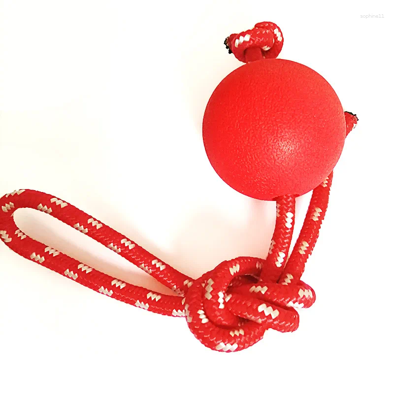 Update Indestructible Dog Ball Pet Training Toy Puppy Tug Balls Toys Chew Solid Rubber With Rope