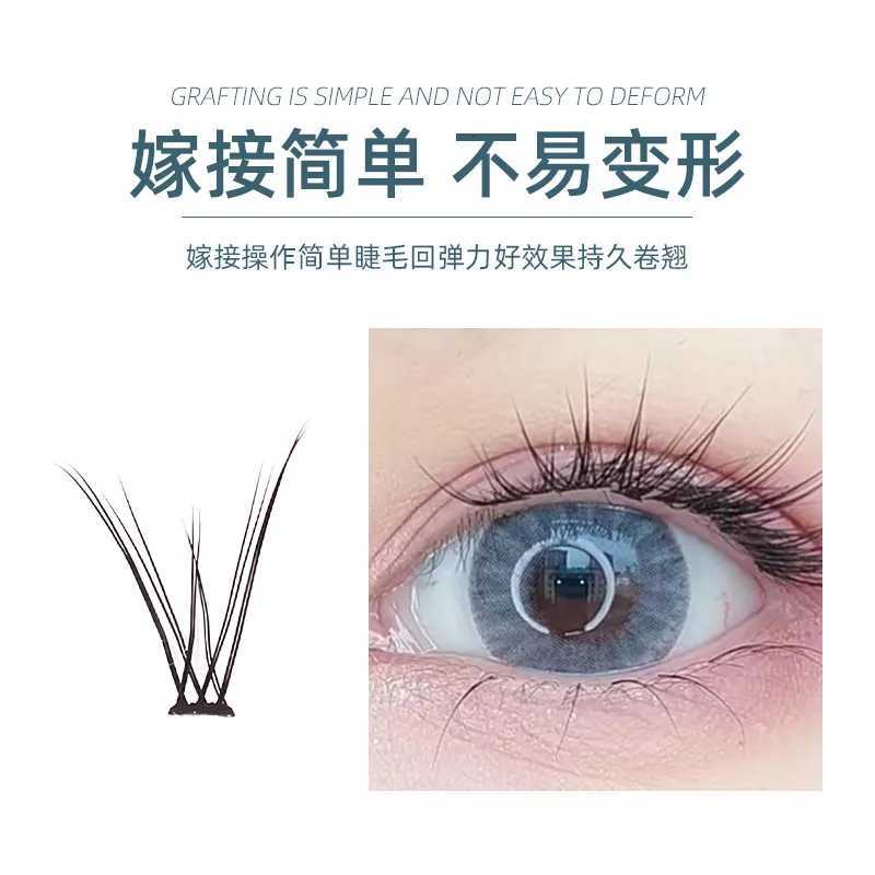 Grafting World New Style Eyelash Cluster Fish Tail Individual Eyelash 240 Pieces Eyelash No Make Extensions Make Up ToolsT251117