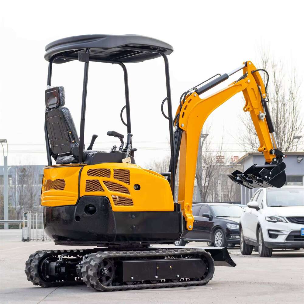 Long-Reach Mini Excavator with Motor and Gearbox for Drainage and Deep Digging