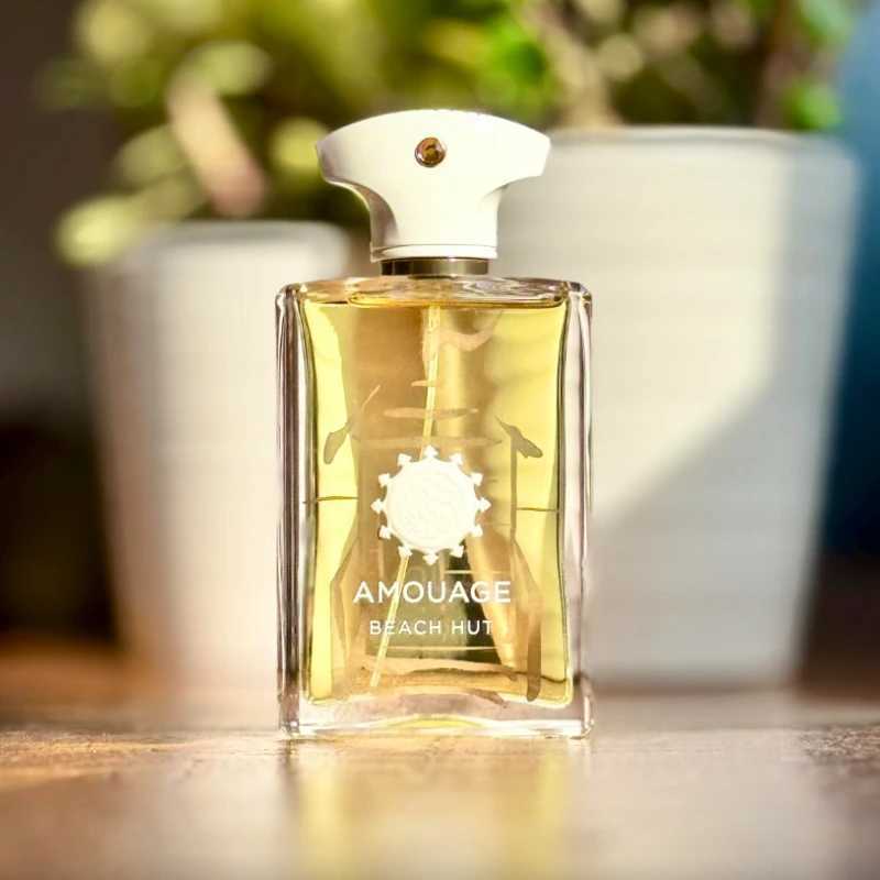 100ml Mens Woody Perfume Collection Long Lasting Spicy Oriental Oud Floral Luxury Premium Fragrance 10 Unique Signature ScentsW251117