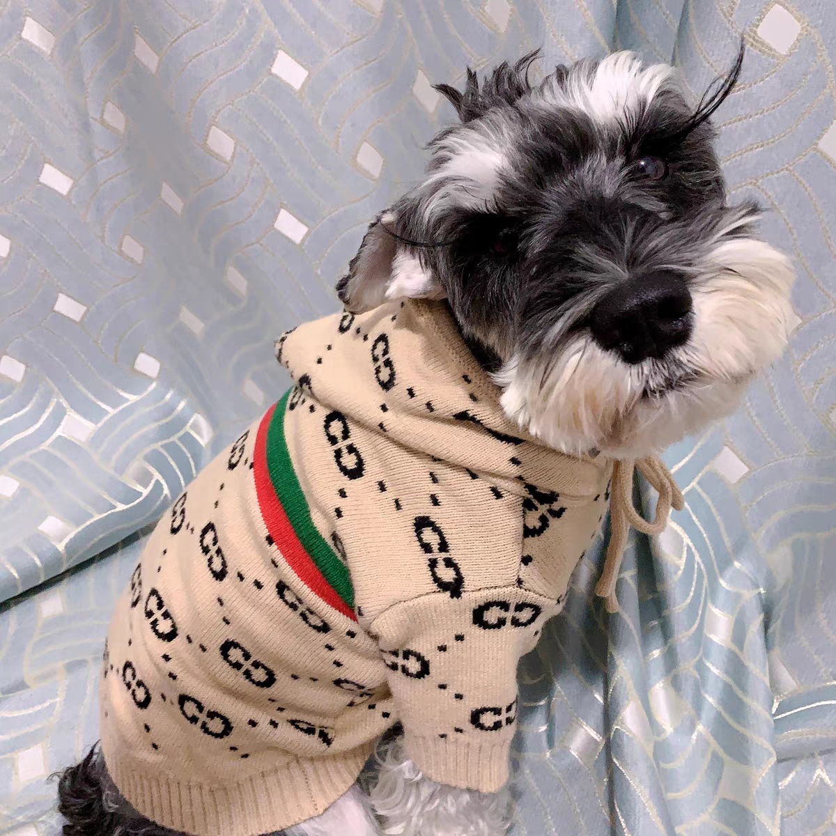 Designer Pet Hoodie with Monogram Pattern, Fashion Warm Knitted Dog Sweater in Multi-Colors, Soft Hooded Pet Apparel for Small Medium Dogs, with Strip