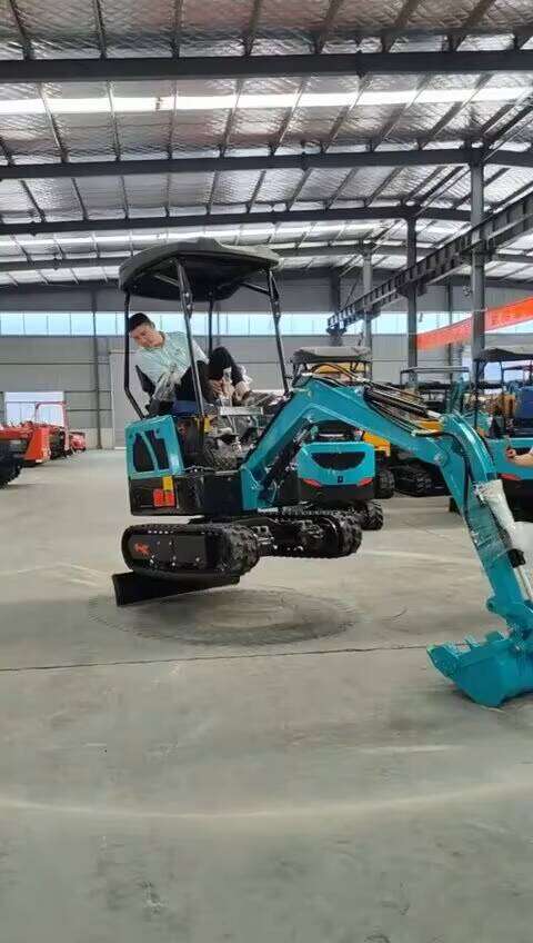 Yugong Engine Crawler Farm Used Mini Excavator for Sale