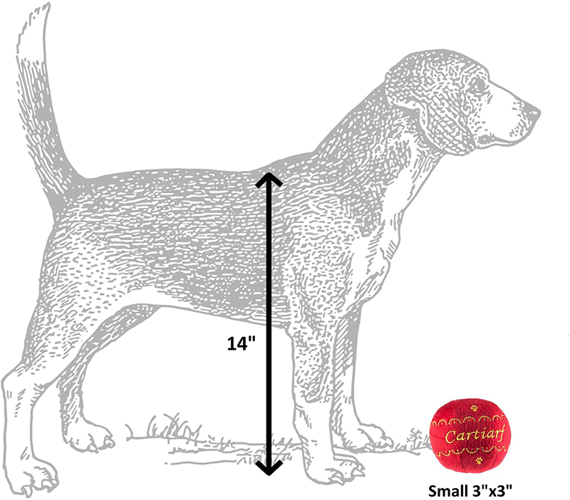 Luxury Dog Toys Designs Runway Pup Collection | Unique Squeaky Parody Plush Dog Toys Porter Dog Bones, Balls & More H39