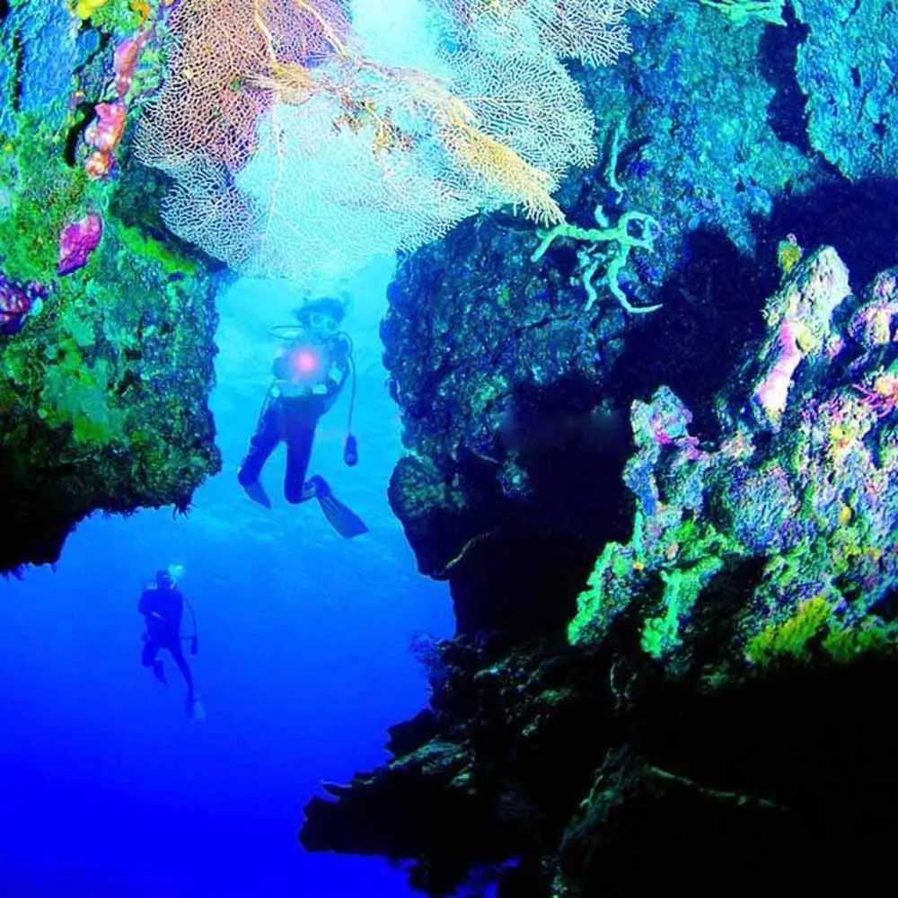 UV LED Diving Flashlight Ultraviolet Lantern Scuba Purple Light Underwater 200M Dive Aluminum Torch 395nm for Diving Hunting M251117