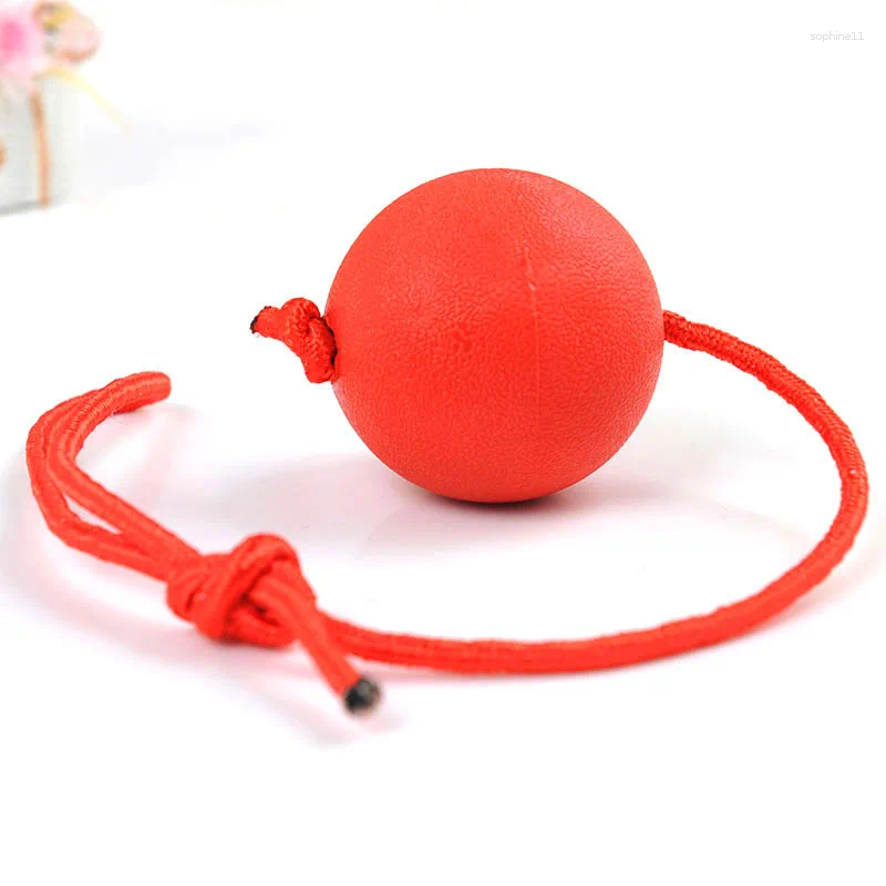 Update Indestructible Dog Ball Pet Training Toy Puppy Tug Balls Toys Chew Solid Rubber With Rope