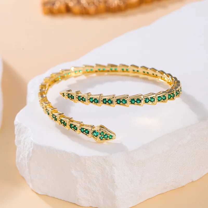 ZAKOL 2025 New Turquoise Snake Bone Bracelet for Women Unique Personalized Party Jewelry Fashion Birthday Gift W251118