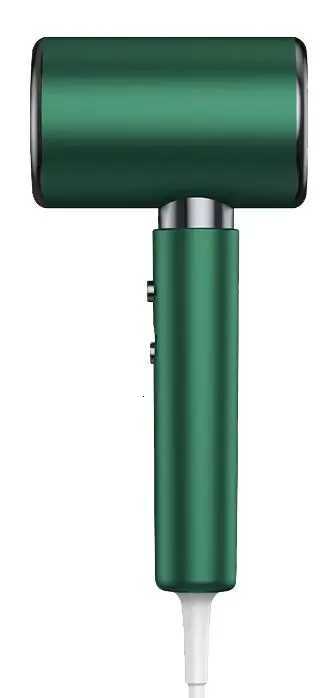 Best-Selling 2000W DC Professional Hair Dryer Ionic Feature Portable Plastic Concentrator Household Hotels Electric Power SourceT251118