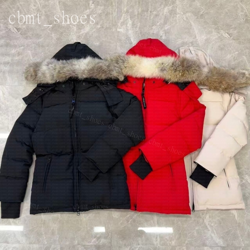 Women Designer Jacket Down Coat Real Coyote Fur Femme Puffer Outdoor Windbreaker Jassen Veste Outerwear Hooded Fourrure Manteau Down Coats Doudoune Hiver Parka