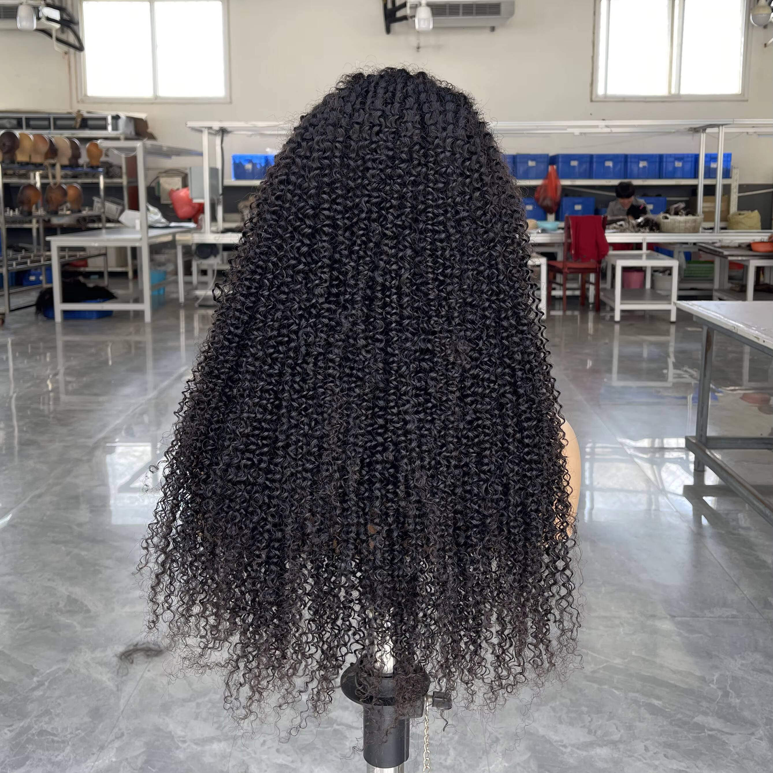 Human Hair Glueless Wigs 16in 250 Curly Hair Lace Front Wigs for Black Womenfull Hair Afro Curly Affordable Wig