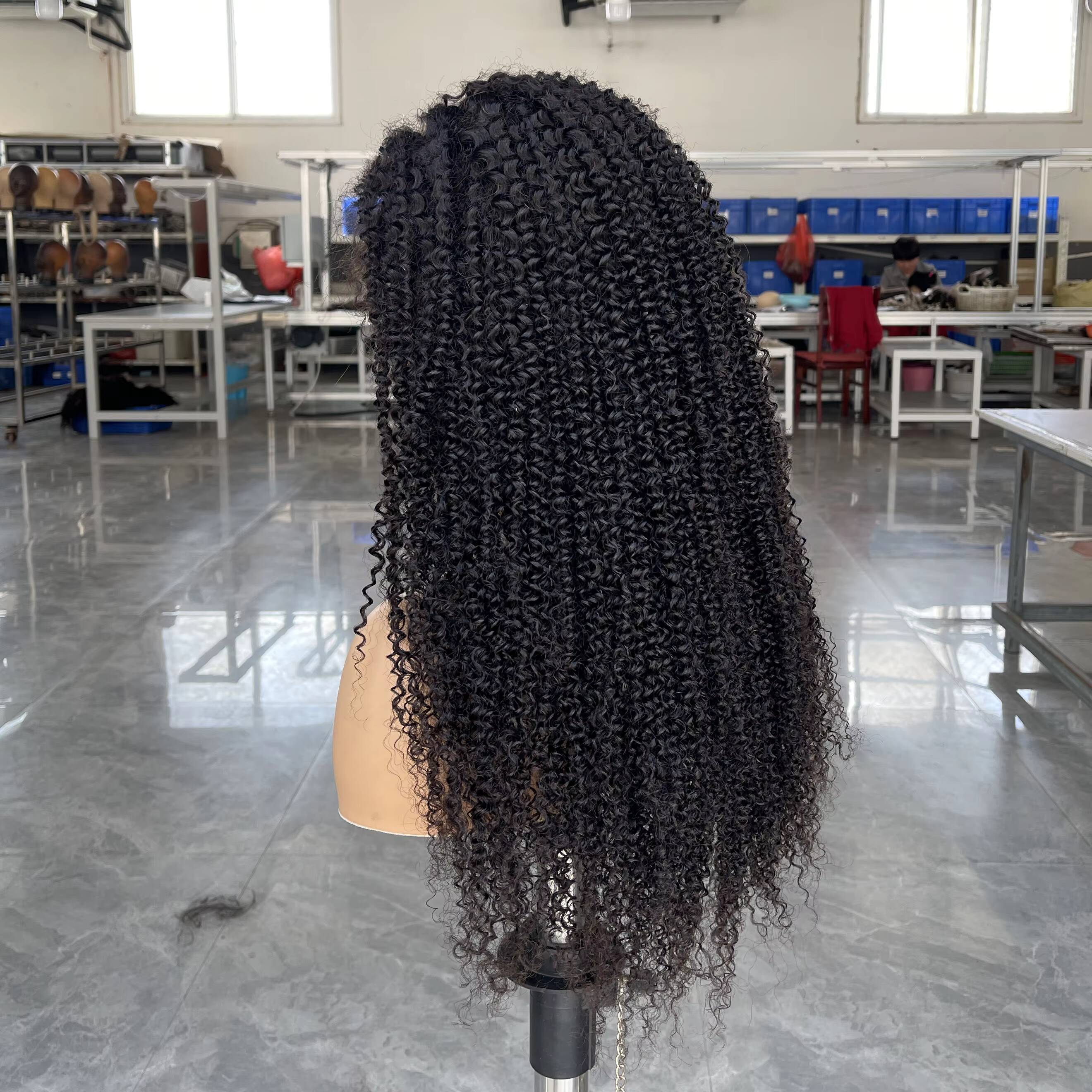 Human Hair Glueless Wigs 16in 250 Curly Hair Lace Front Wigs for Black Womenfull Hair Afro Curly Affordable Wig