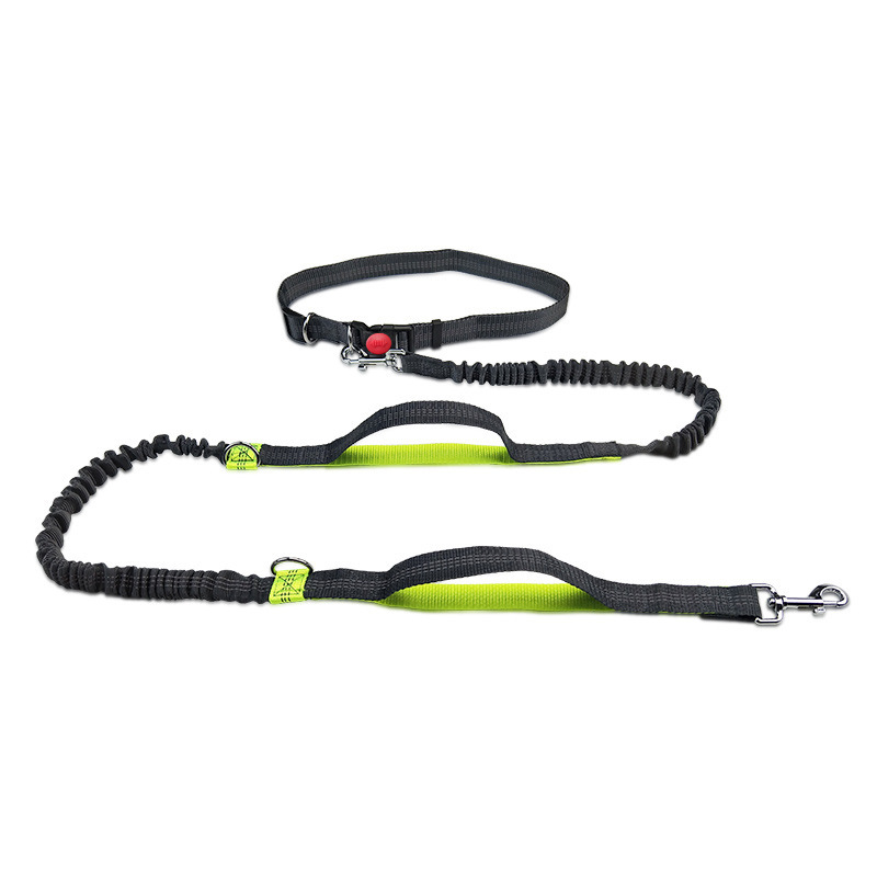 Pet leash outdoor running reflective double retractable dog leash dog chain leash pet supplies - view 6