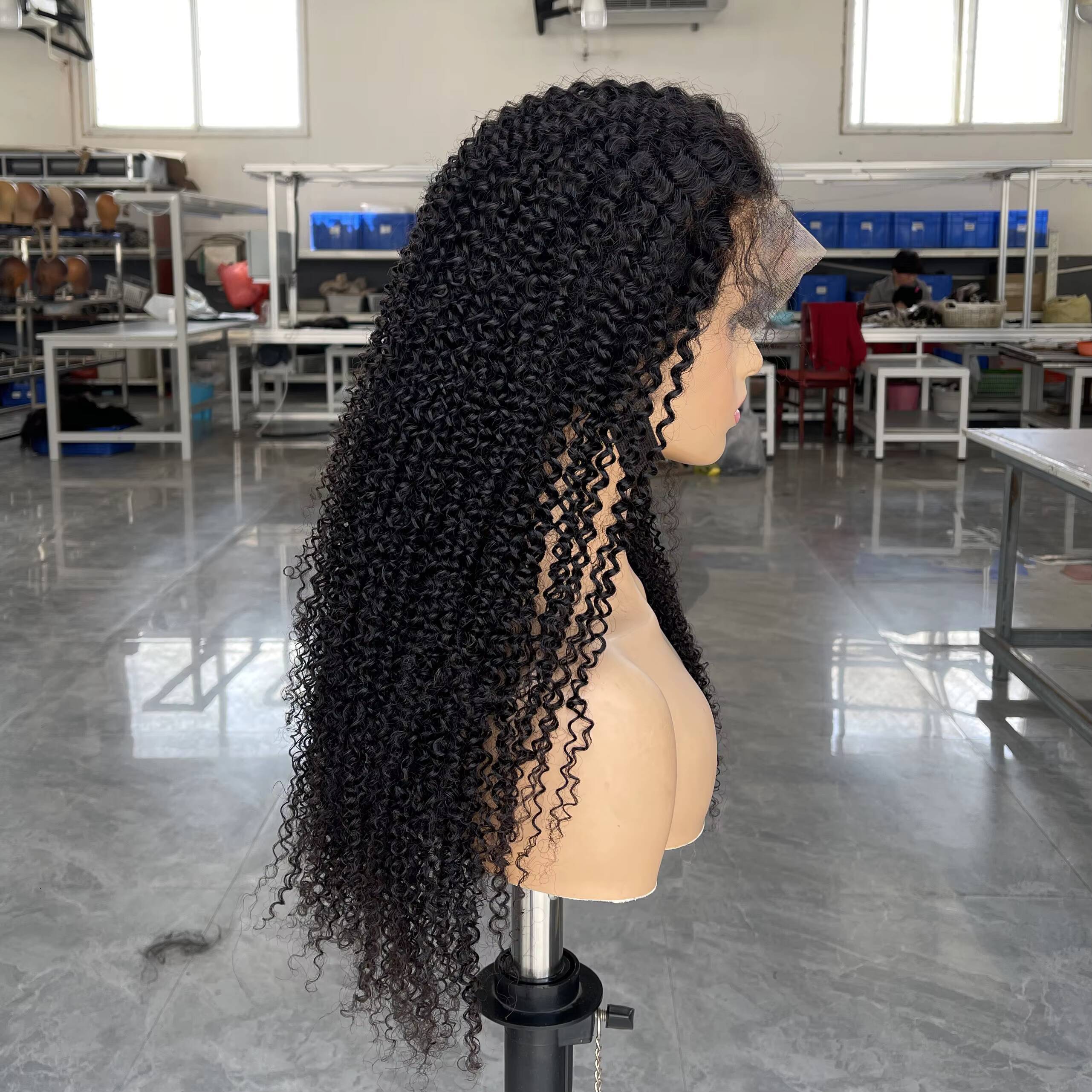 Human Hair Glueless Wigs 16in 250 Curly Hair Lace Front Wigs for Black Womenfull Hair Afro Curly Affordable Wig
