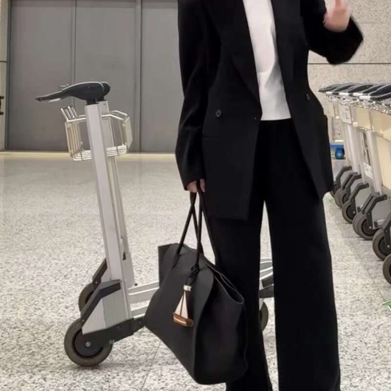 2025 New Internet Celebrity Same Style Large Capacity Fashion Versatile Dark Contrast Design Solid Color Commuter Single Shoulder Tote Bag