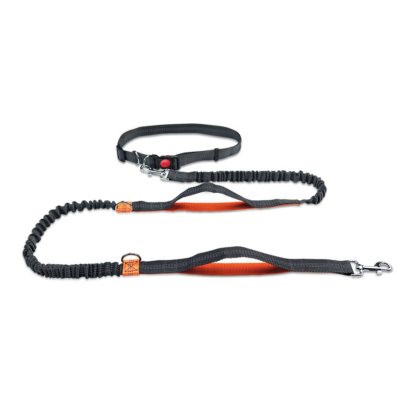 Pet leash outdoor running reflective double retractable dog leash dog chain leash pet supplies - view 5