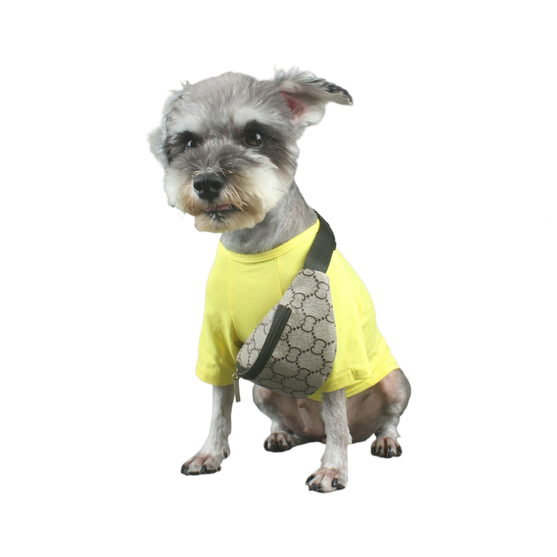 Dog Backpack Pet Harnesses with Saddle Bag Dog Supplies Classic Letter Printing Leather Dog Bags Self Carrier Backpacks Adjustable Mesh