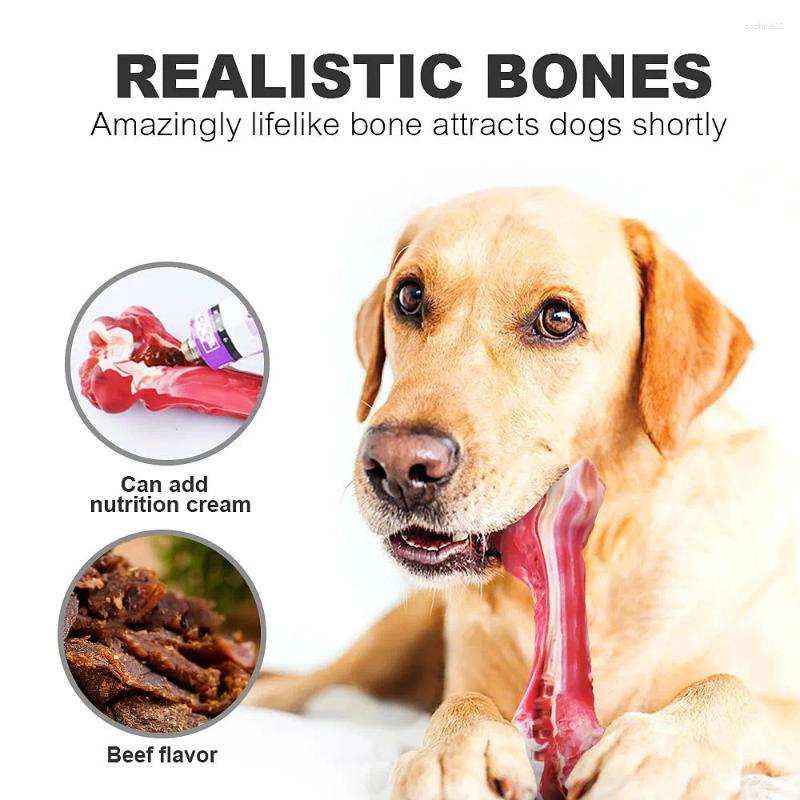 Update Pet Bone Toy Chewing Dog Bite Simulation Rubber Interactive Grinding Teeth