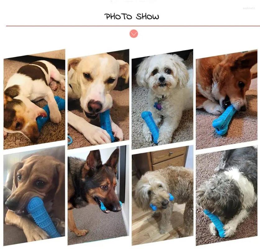 Update Bone Shape Chew Toys For Dogs Pet Molar Tooth Cleaning Brushing Stick Toothbrush Doggy Puppy Dental Care Pets Supplies