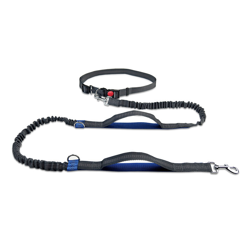 Pet leash outdoor running reflective double retractable dog leash dog chain leash pet supplies - view 4