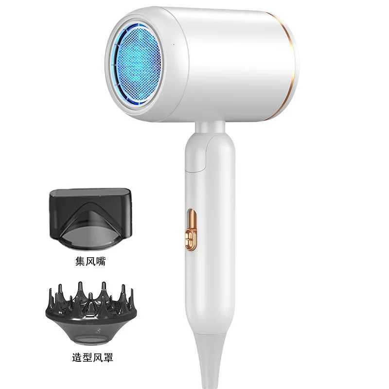 Factory Price Manufacturer Original Hair Dryer Household High-Speed Negative Ion Salon Hair DryerT251118