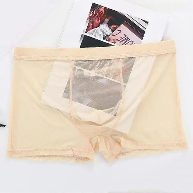 Mens Underwear Transparent Boxing Raised Ice Silk See Through Sexy Low Waist 250417