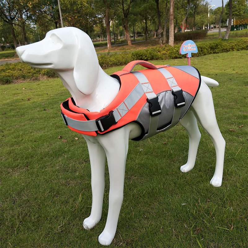 Pet Supplies Direct Supply for Cross-Border E-Commerce: Pet Life Jackets, Pet Swimwear, Pet Harnesses, and Leashes