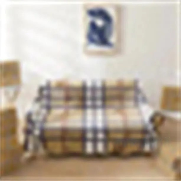 Blankets Designer Blanket with Ral Print, Classic Letter Design Color, Office Nap Travel Towel, Sofa Decoration Blanket, 150 * 200cm