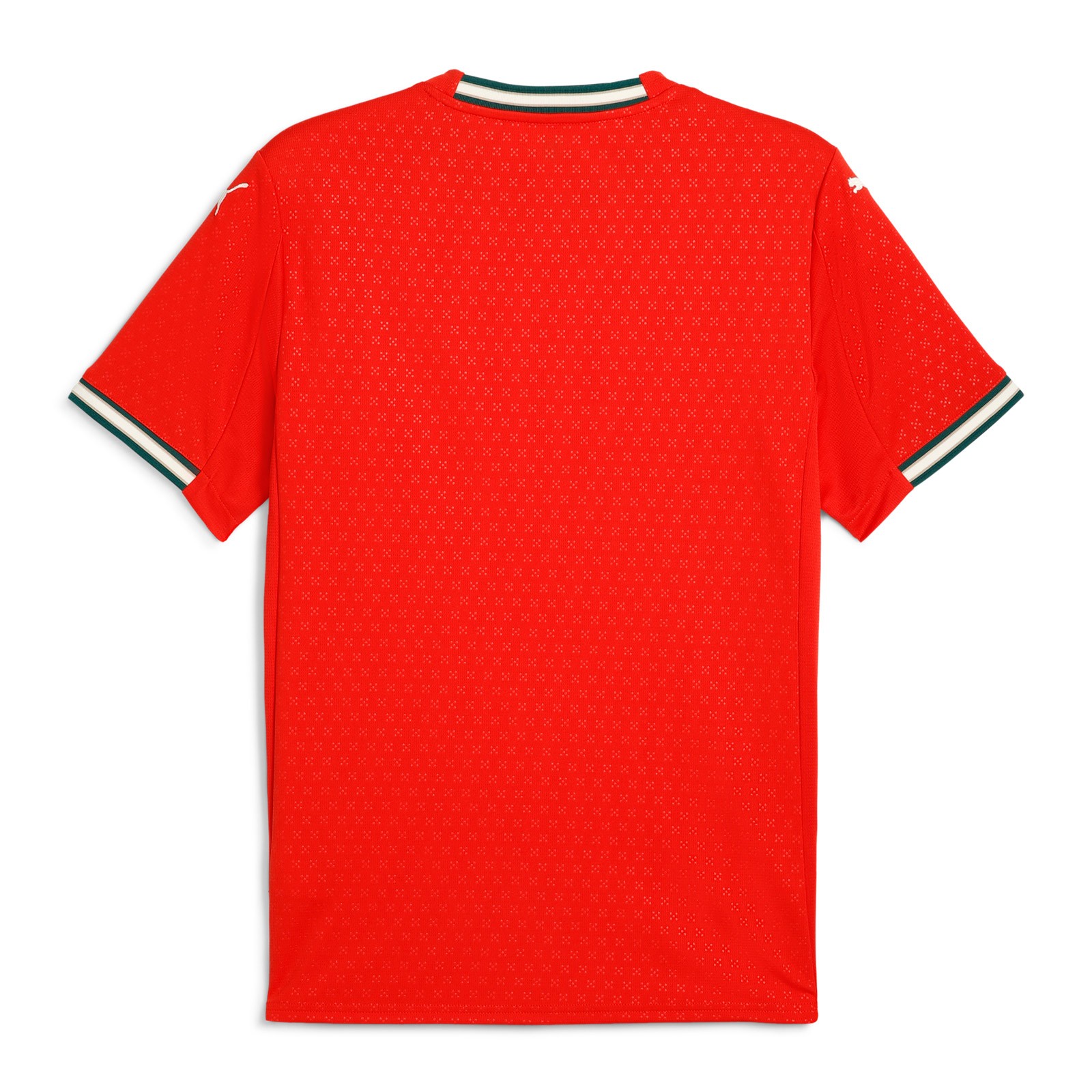 25 26 soccer RoNalDo Retro Long Sleeves Portuguese Jerseys JOAO FELIX RUBEN NEVES DI PORTUGIESER Portugal football shirt Team Men Kids kit