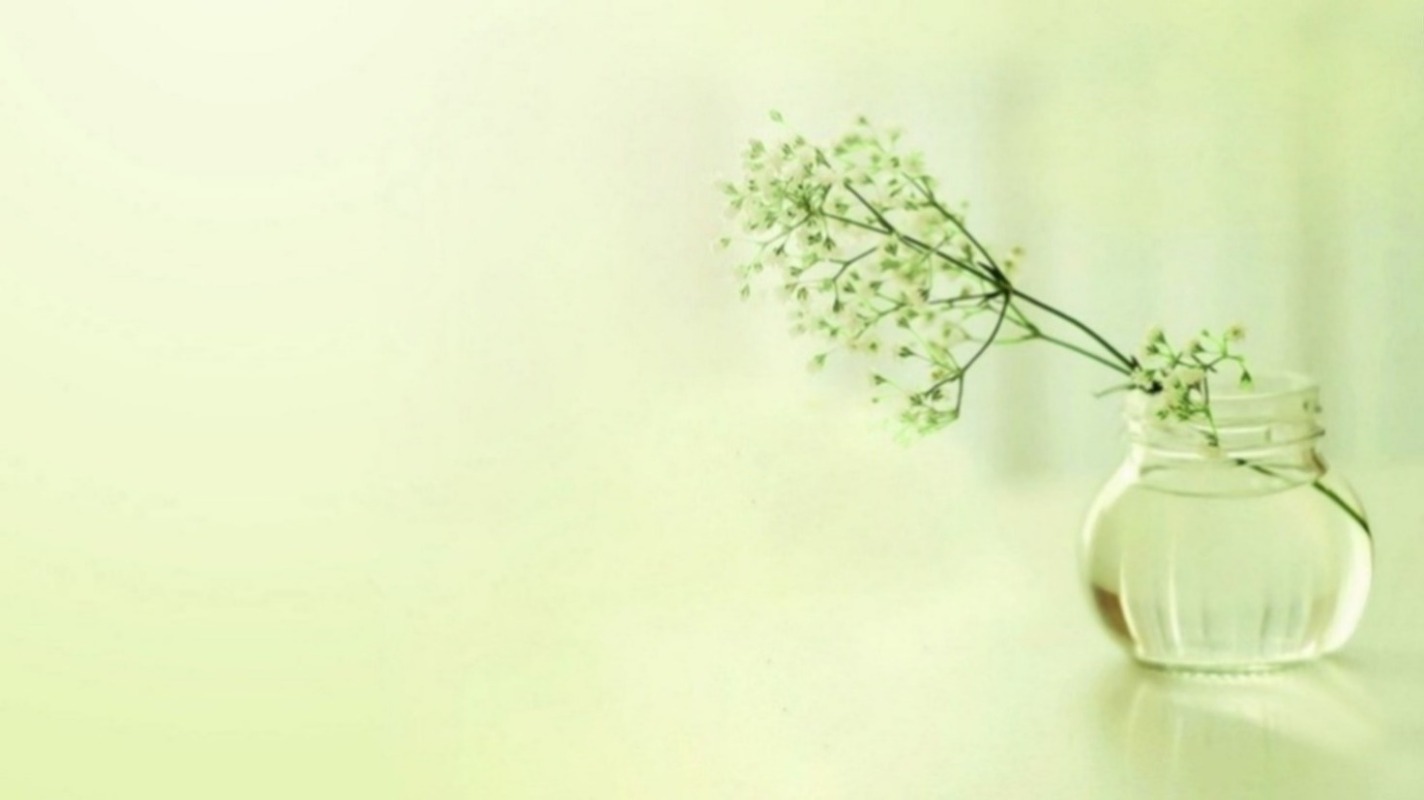 OTHERS payment link FOR BO00 free shipping DFDS