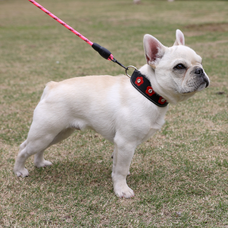 Comfort Fit Pet Supply Neck Ring Easy-to-Use Training Aid for Cats and Little Dogs