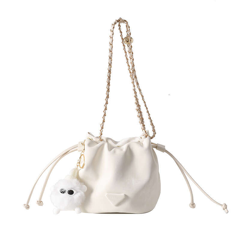 This year's popular small for women in 2025, new high-end and niche chain crossbody bag, single shoulder bucket bag