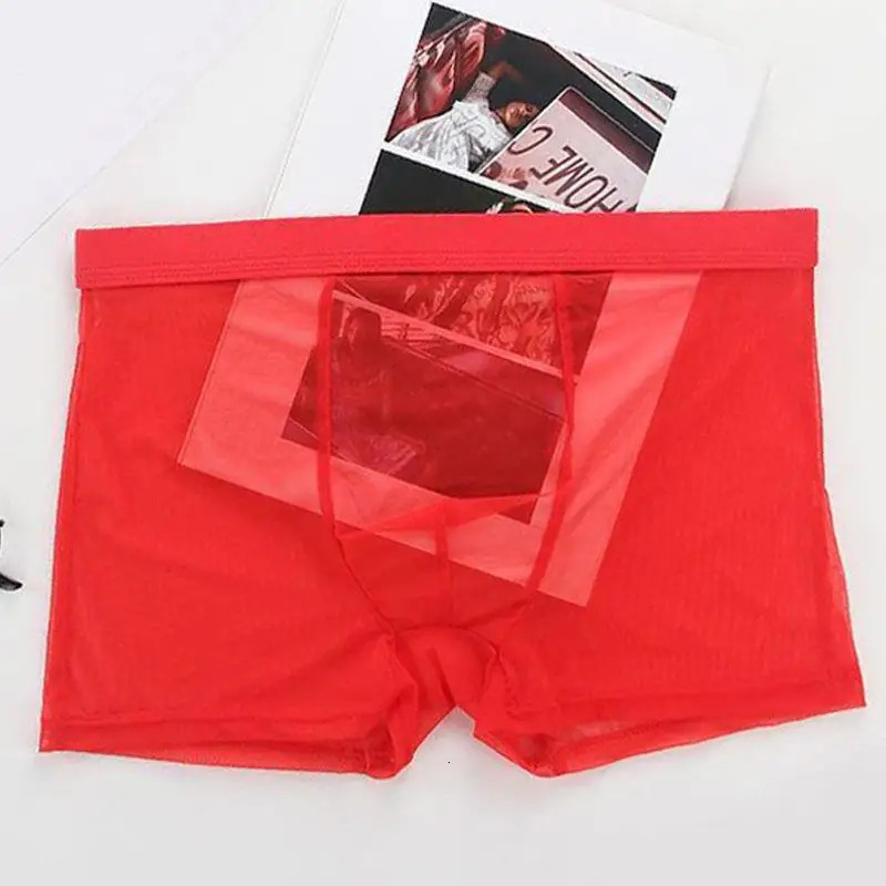 Mens Underwear Transparent Boxing Raised Ice Silk See Through Sexy Low Waist 250417