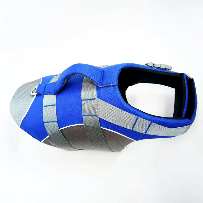 Pet Supplies Direct Supply for Cross-Border E-Commerce: Pet Life Jackets, Pet Swimwear, Pet Harnesses, and Leashes
