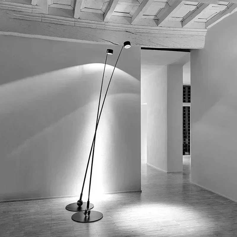 Modern Minimalist Fishing Rod Led Floor Lamp Living Room Long Pole Spot Lamp Home Decor Sofa Bedside Decor Corner Standing Lamp M251119
