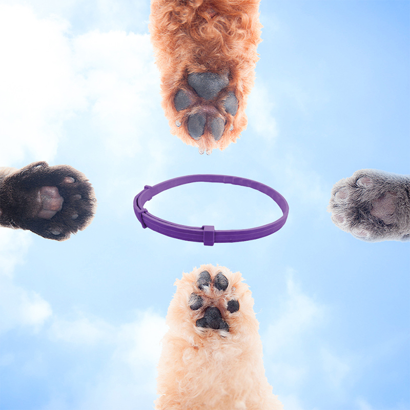 Pet Calming Collar for Cats and Dogs