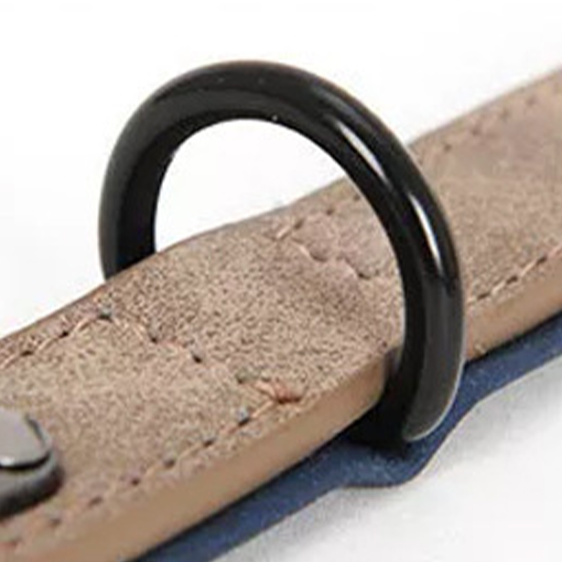 Matte Finished Adjustable Dog Collar with Anti-Loss Feature Fits Small to Extra Large Dogs