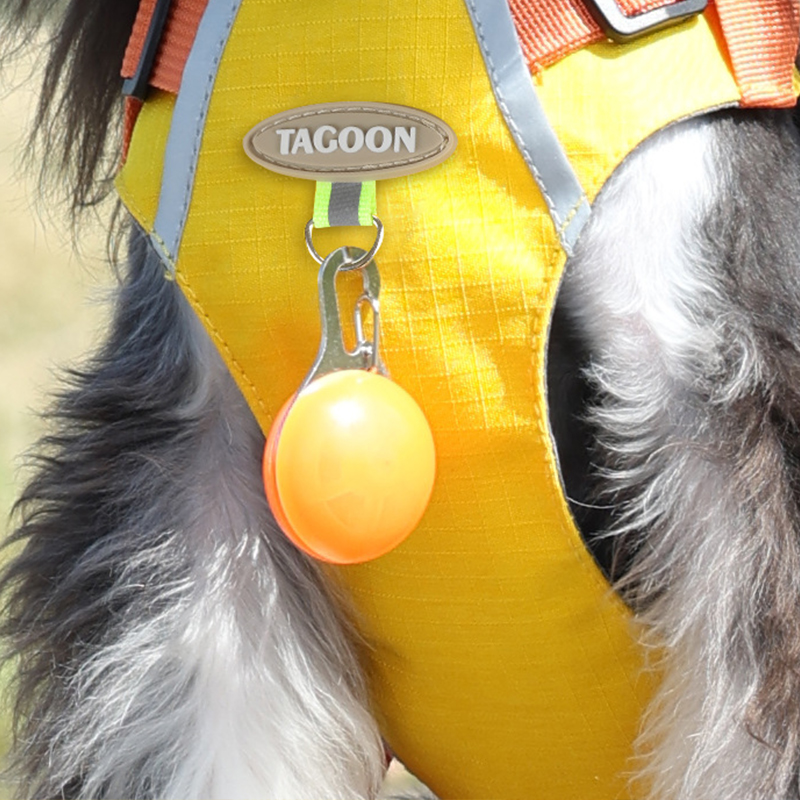 Waterproof Breathable Dog Harness with Matching Leash - Perfect Fit for Small & Medium Pets