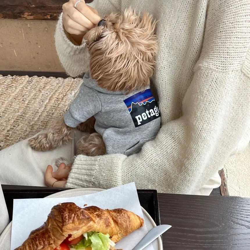 Fashion Dog Hoodie Winter Warm Cat Dog Clothes Soft Sweatshirt Small Medium Dogs Coat Cold Weather Pet Clothing ChihuahuaM251119