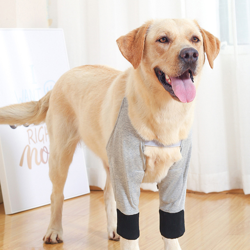Dog Recovery Suit Abdominal Wound Surgical Clothes Dogs Anti-Licking Pet Onesies Vest Post Surgery Dog Sterilization Suit