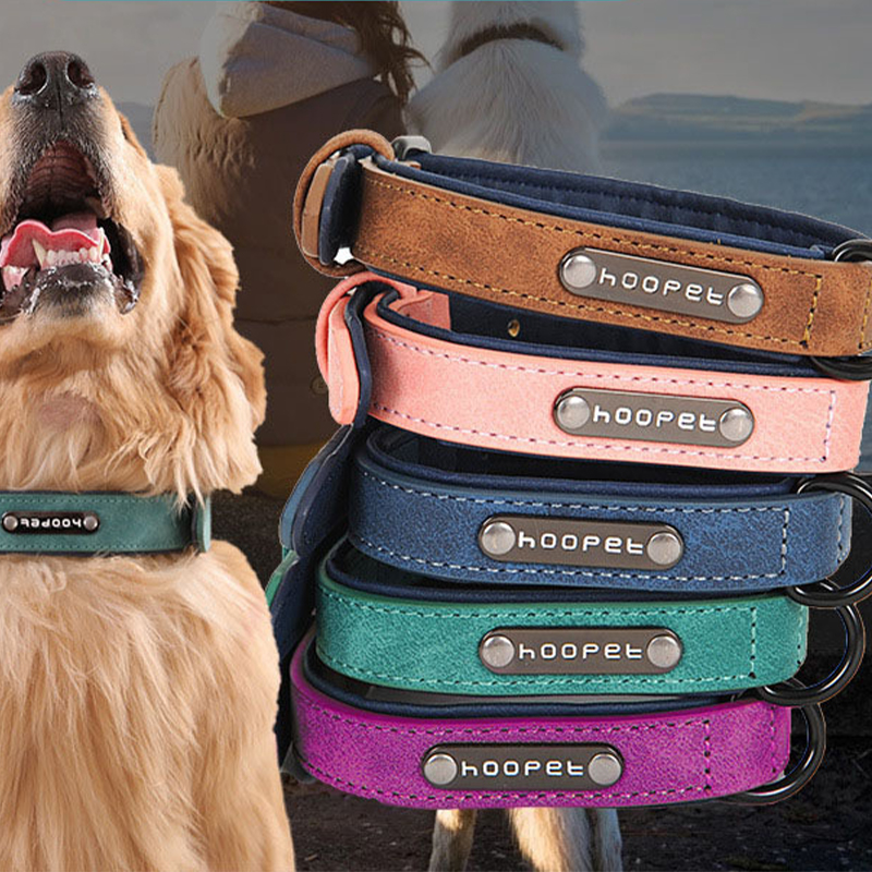 Matte Finished Adjustable Dog Collar with Anti-Loss Feature Fits Small to Extra Large Dogs