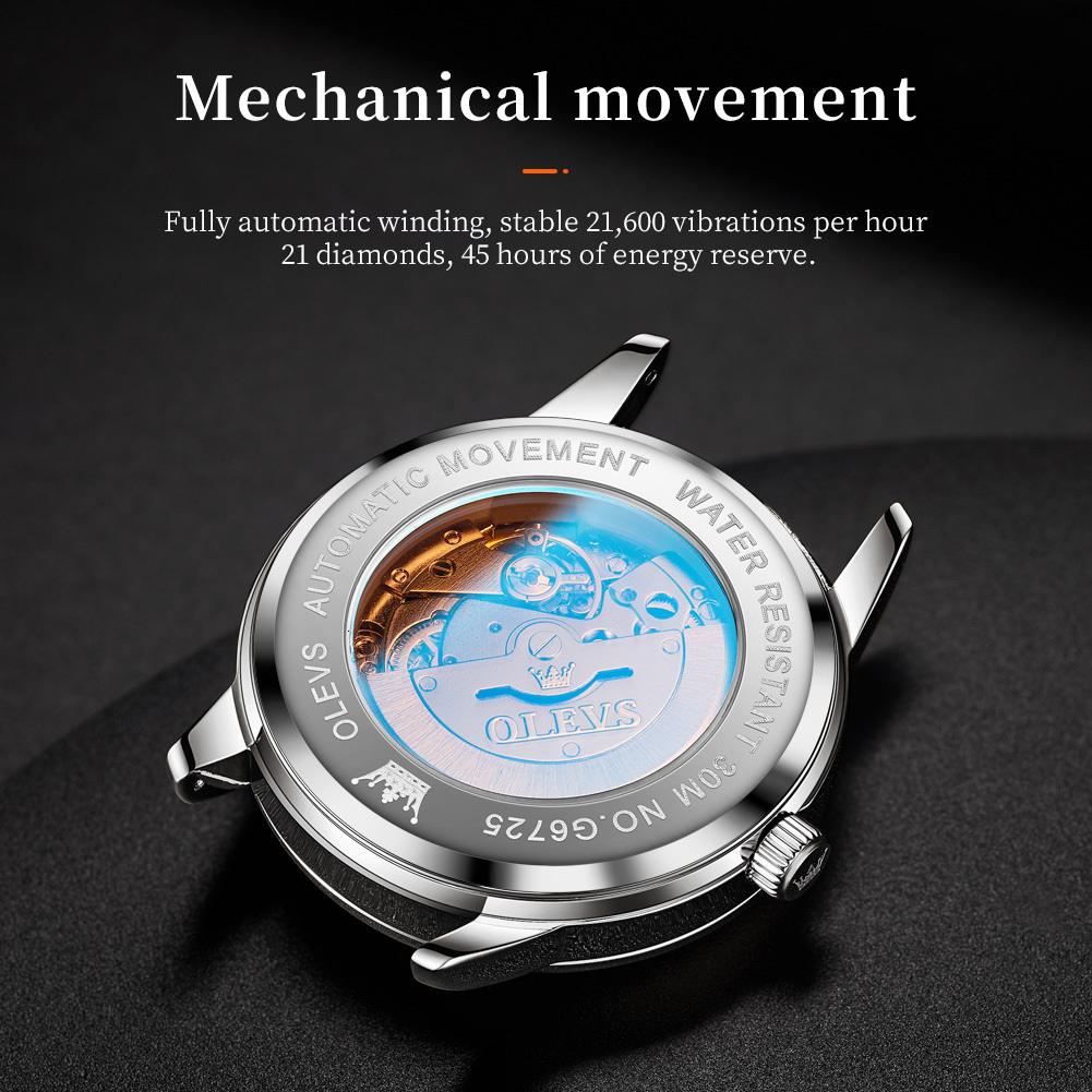 OLEVS Designer Men's Watches Fully Automatic Mechanical Watches Business Luxury Gentleman's Simple Waterproof Watches Men's Watches Fre