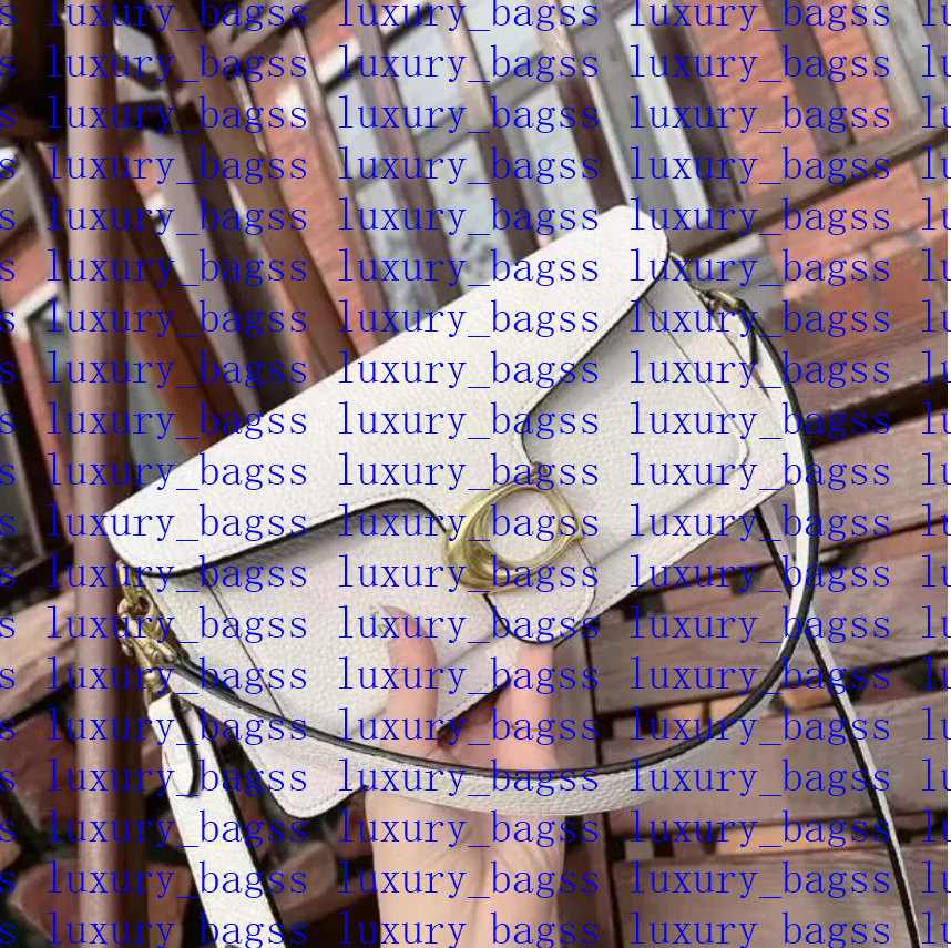 2025 Designer bags bag Tote bag Crossbody Bags Luxury Handbag Real Leather Baguette Shoulder Bag Square Fashion Satchel bags TABBY 26cm