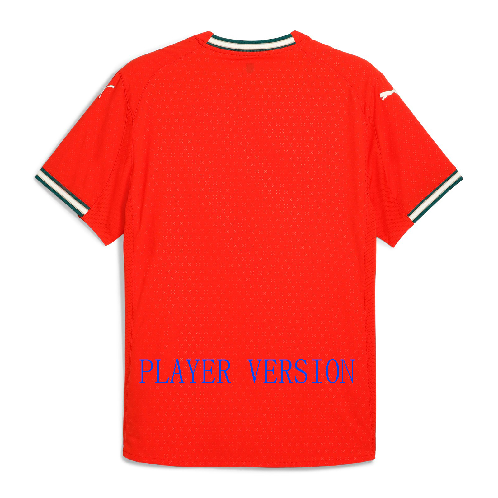 25 26 soccer RoNalDo Retro Long Sleeves Portuguese Jerseys JOAO FELIX RUBEN NEVES DI PORTUGIESER Portugal football shirt Team Men Kids kit