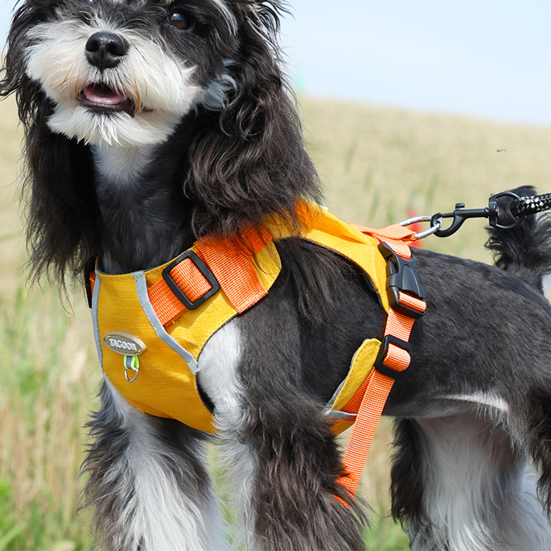 Waterproof Breathable Dog Harness with Matching Leash - Perfect Fit for Small & Medium Pets