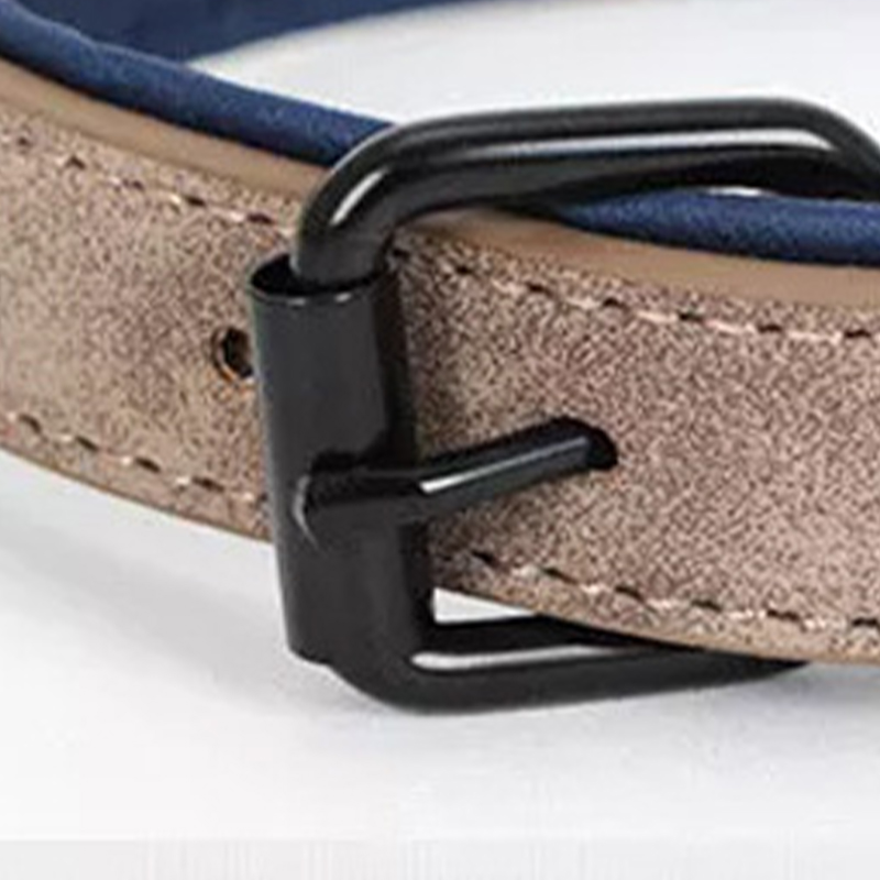 Matte Finished Adjustable Dog Collar with Anti-Loss Feature Fits Small to Extra Large Dogs