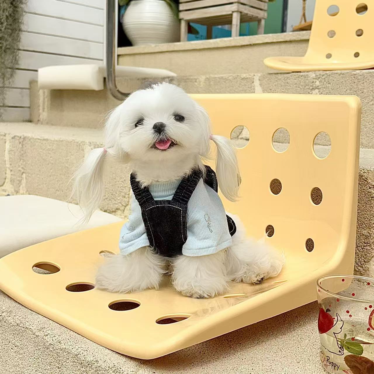T0014Miffy Rabbit Dog Clothes Spring and Autumn Teddy Bichon Small Dog Waffle Maltese Cat Pet Clothes Summer