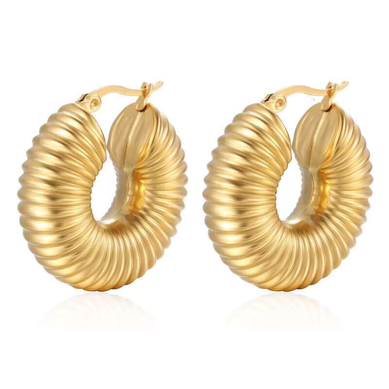 DHcollection 14k Thick Gold Hoop Anti Allergic Earrings, Women's Twisted Ring Earrings Gift