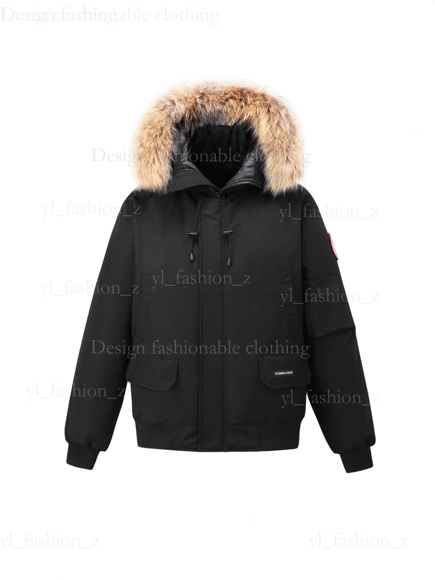 Canada Jacket Goosejackets Mens Canadian Designer Luxury Doudoune High Quality Parka Down Jacket Men's Hooded Winter Jacket Warm Thicken Puffer Jacket d9c